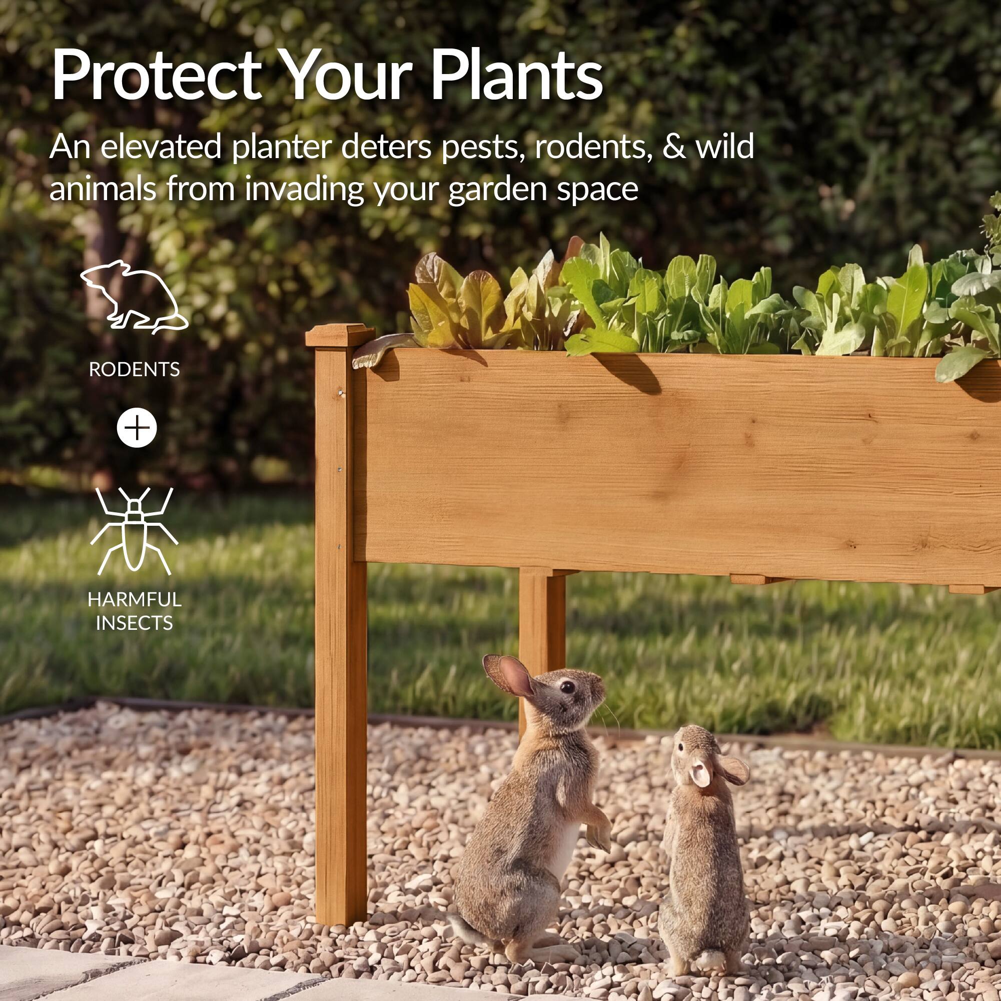 Protect Your Plants

An elevated planter deters pests, rodents, & wild animals from invading your garden space

RODENTS + HARMFUL INSECTS