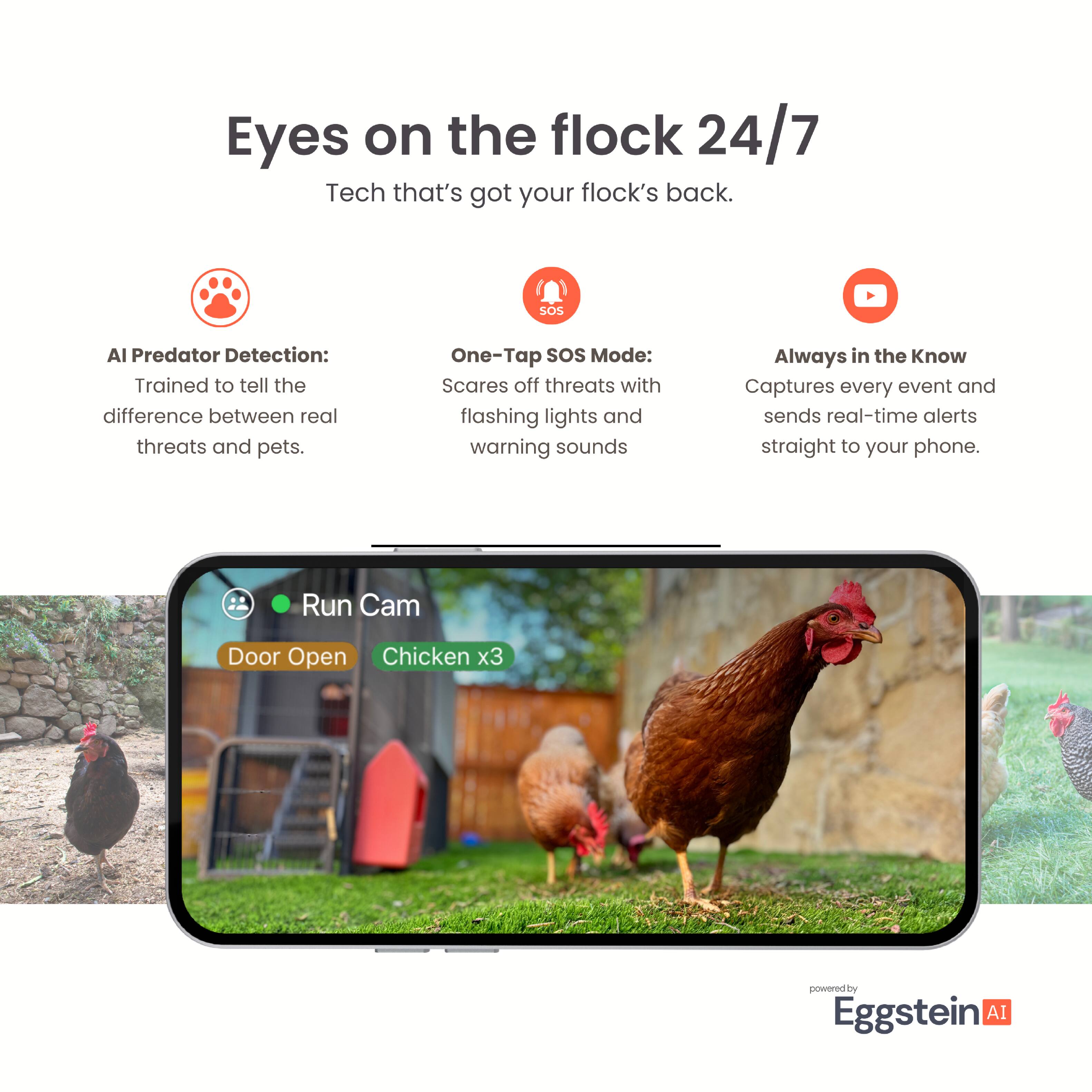 Eyes on the flock 24/7  
Tech that's got your flock's back.

AI Predator Detection:  
Trained to tell the difference between real threats and pets.

One-Tap SOS Mode:  
Scares off threats with flashing lights and warning sounds

Always in the Know  
Captures every event and sends real-time alerts straight to your phone.

Run Cam  
Door Open  
Chicken x3

powered by Eggstein AI