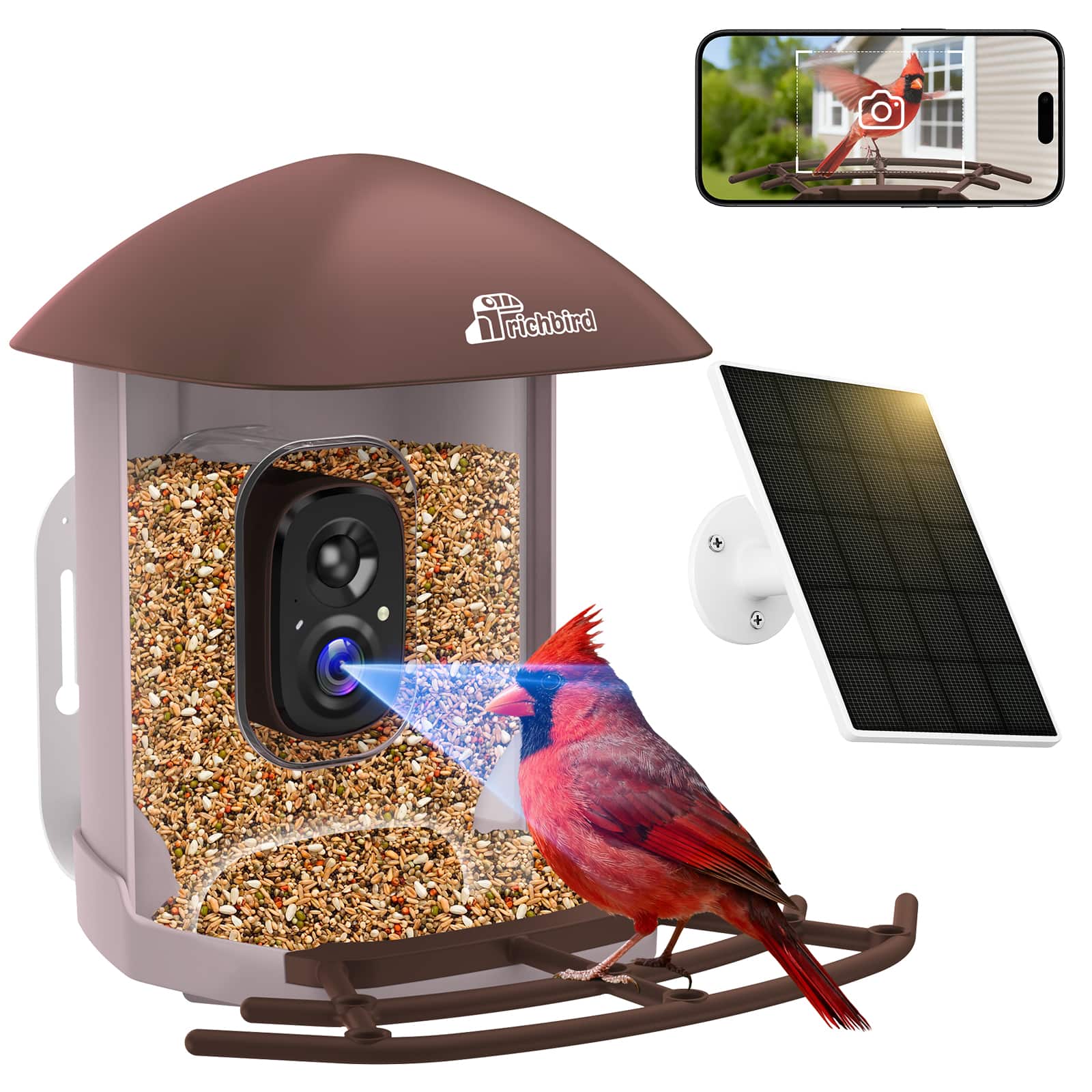 CoolFly - x Richbird - Smart Bird Feeder with 2.5K HD Camera, AI Species ID, and Solar Panel - Brown