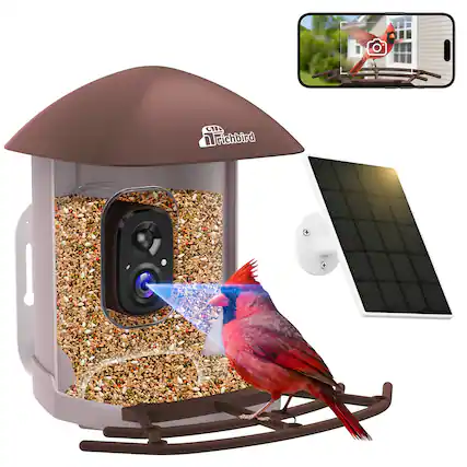Front. CoolFly - Coolfly x Richbird - Smart Bird Feeder with 2.5K HD Camera, AI Species ID, and Solar Panel - Brown.