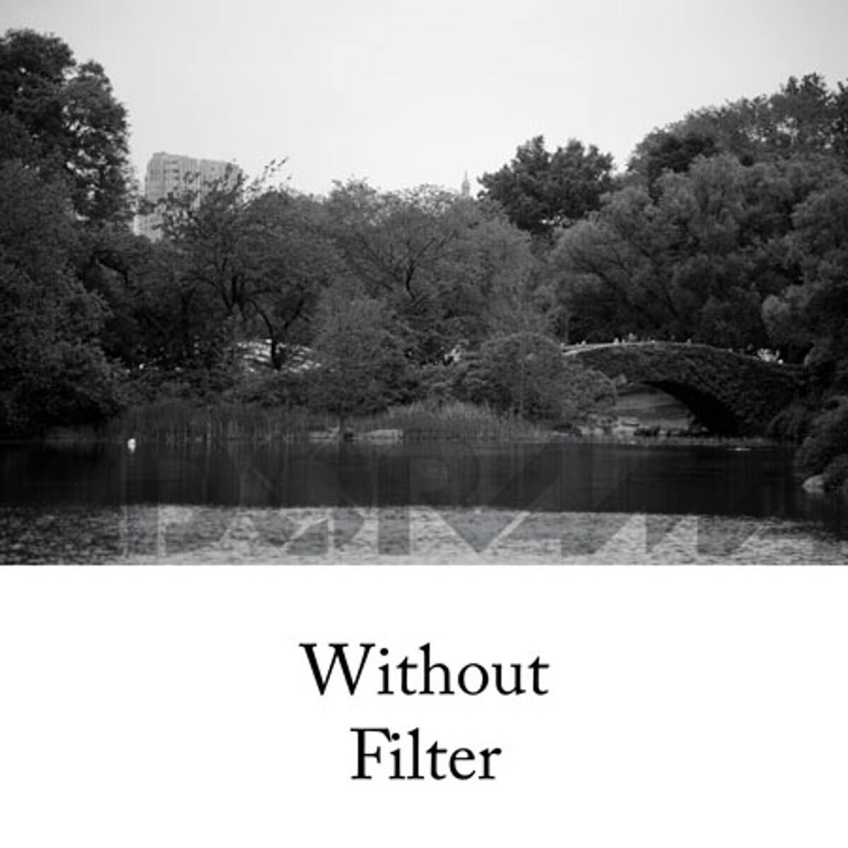 Without Filter