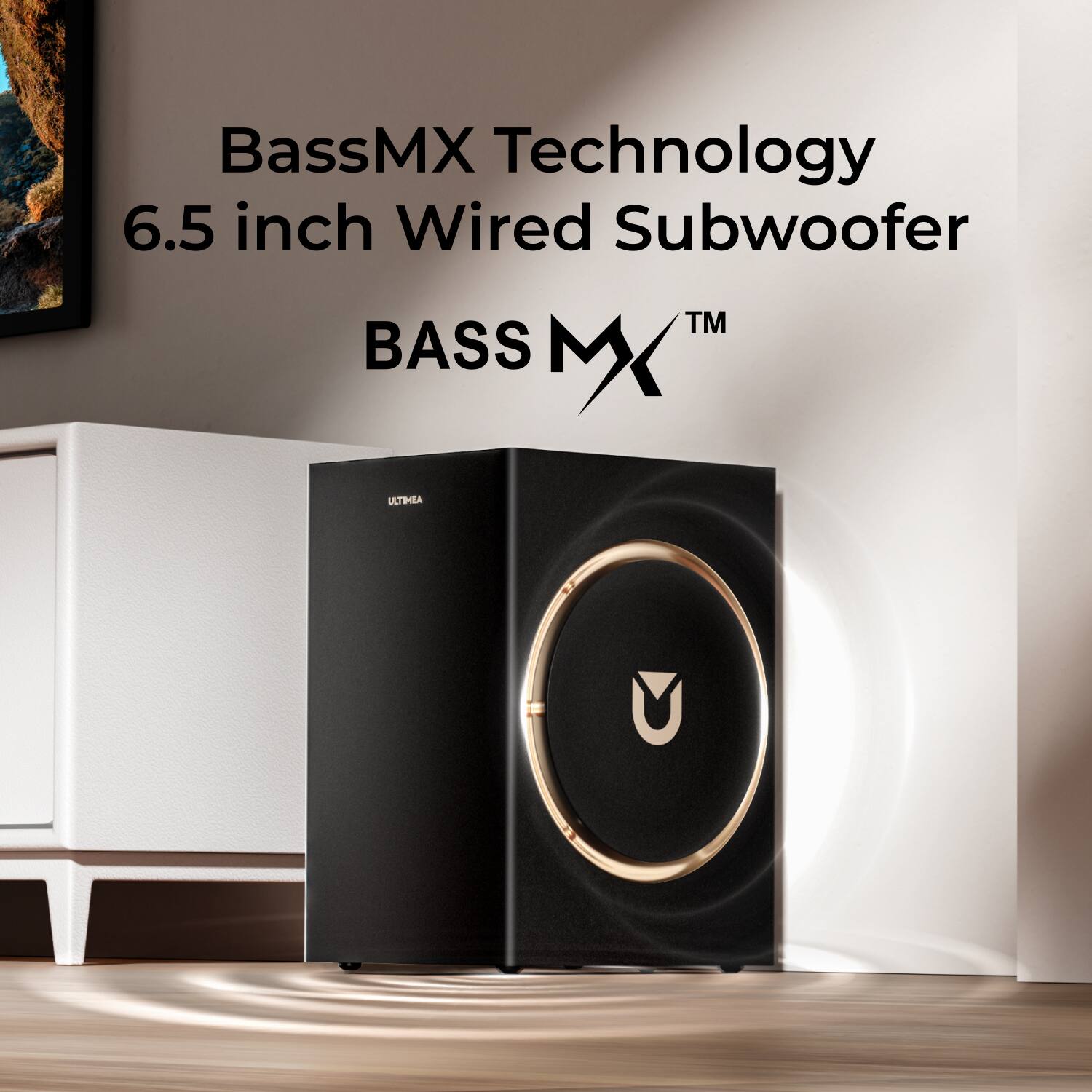 BassMX Technology  
6.5 inch Wired Subwoofer  
BASS MX™