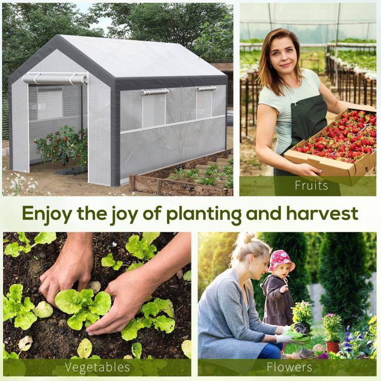 Fruits  
Enjoy the joy of planting and harvest  
Vegetables  
Flowers