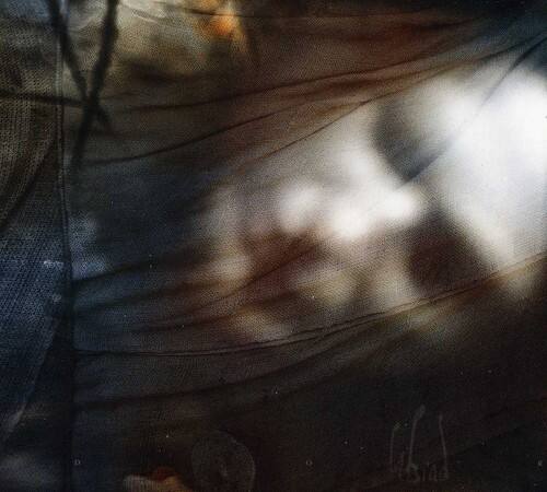 Front. Din Brad - Dor   - COMPACT DISCS.