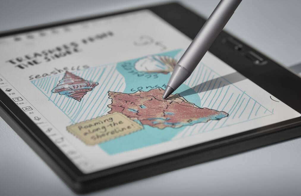 TREASURES OF THE SEA  
seashells  
conch  
Roaming the shoreline!