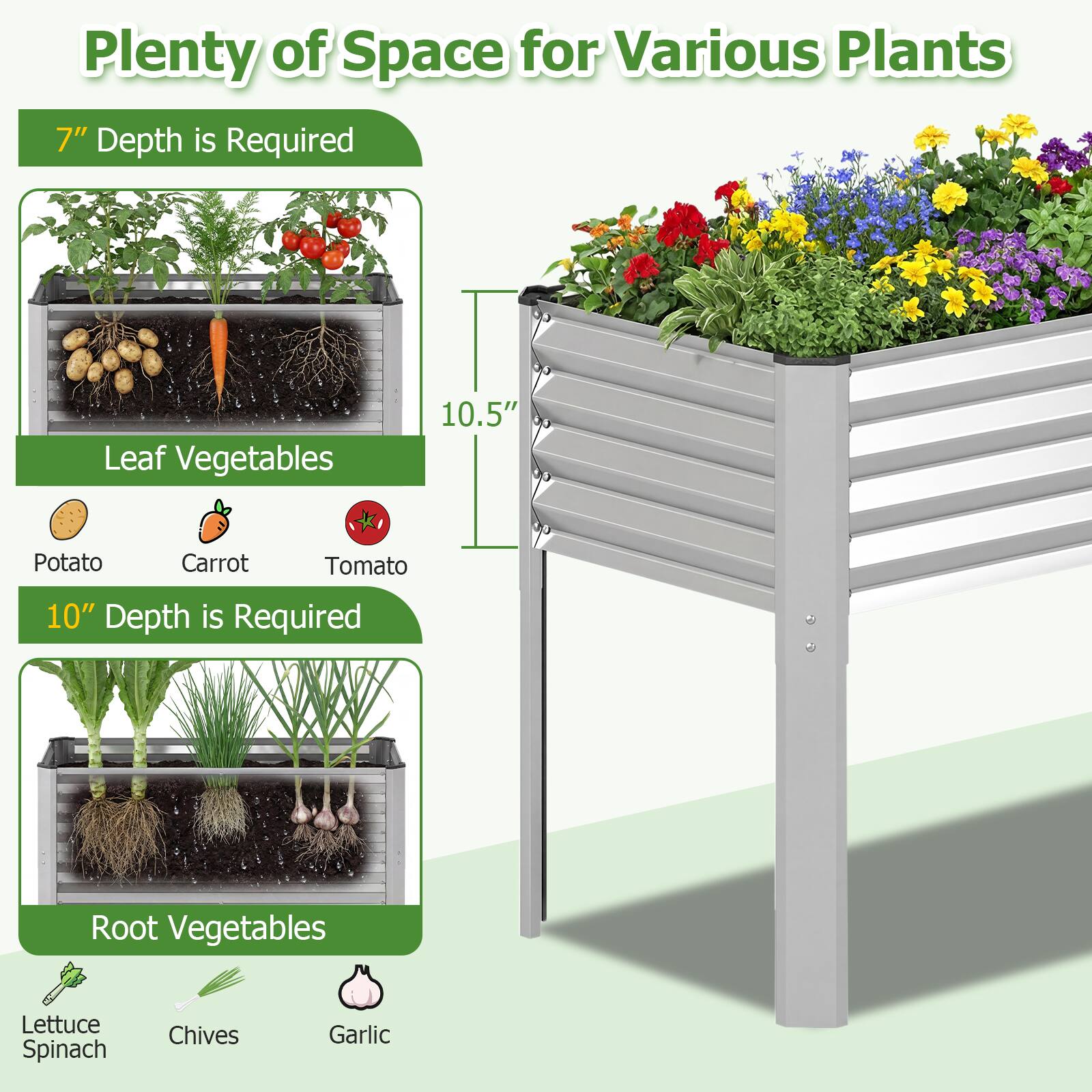 Plenty of Space for Various Plants

7" Depth is Required  
Leaf Vegetables  
- Potato  
- Carrot  
- Tomato  

10.5"  
10" Depth is Required  
Root Vegetables  
- Lettuce  
- Spinach  
- Chives  
- Garlic
