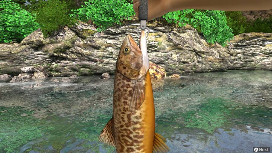 【新品】Reel Fishing: Days of Summer Amazon.com: Reel Fishing: Days of Summer - Nintendo Switch