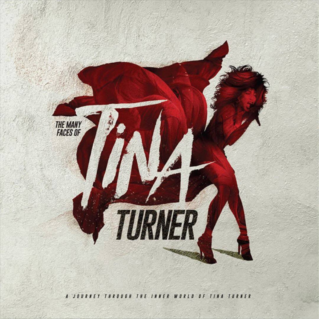 The Many Faces of Tina Turner [LP] [VINYL] price history on PriceWatchPro