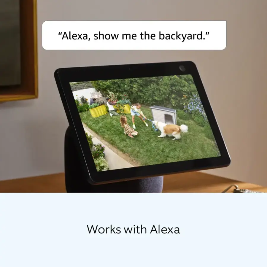 "Works with Alexa"