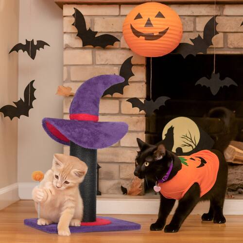 Alt View 5. Winado - Halloween Cat Scratching Post 24in H Kitten Playing Tower Cat Toy for Indoor Decoration - Purple.