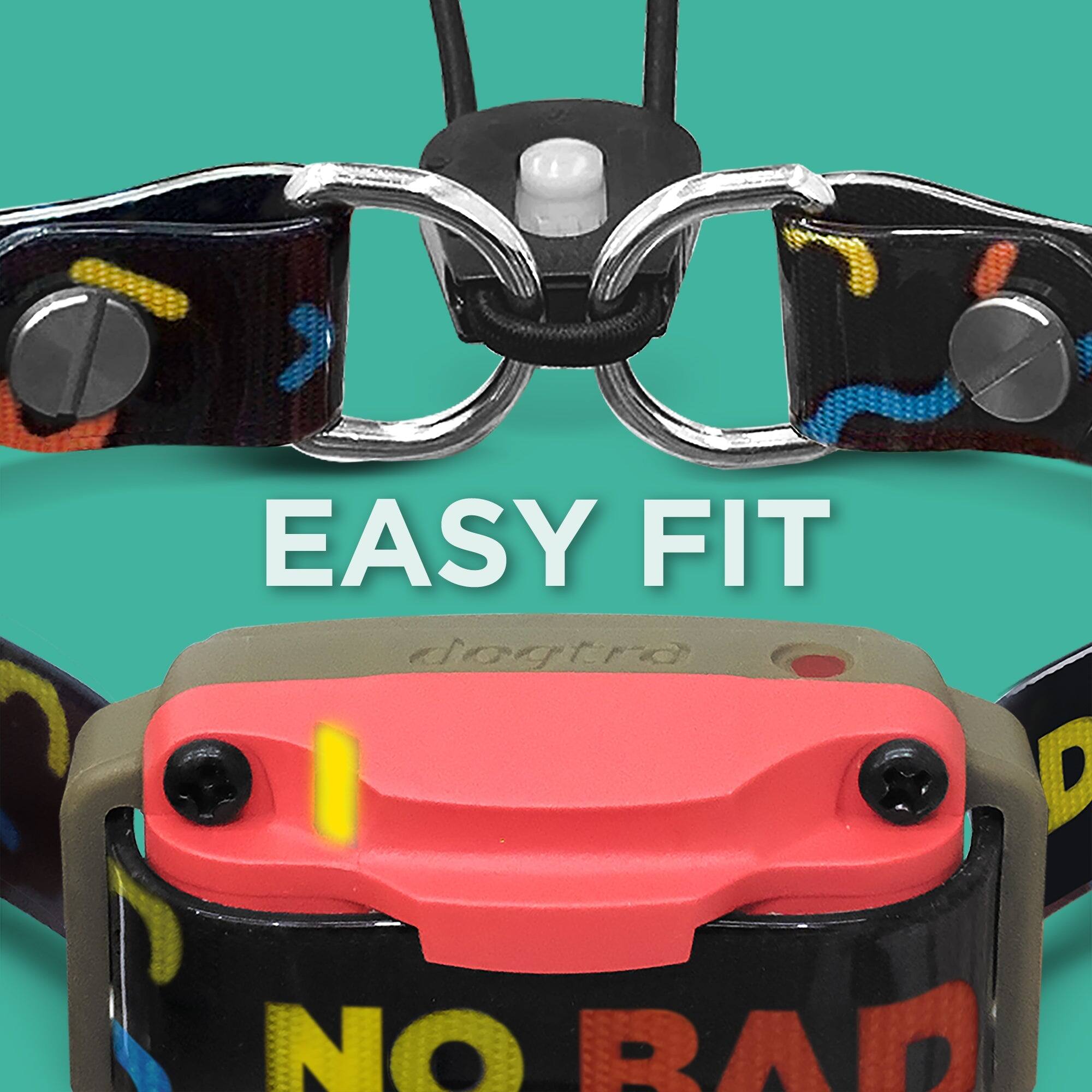 EASY FIT dogtra  
NO BAD
