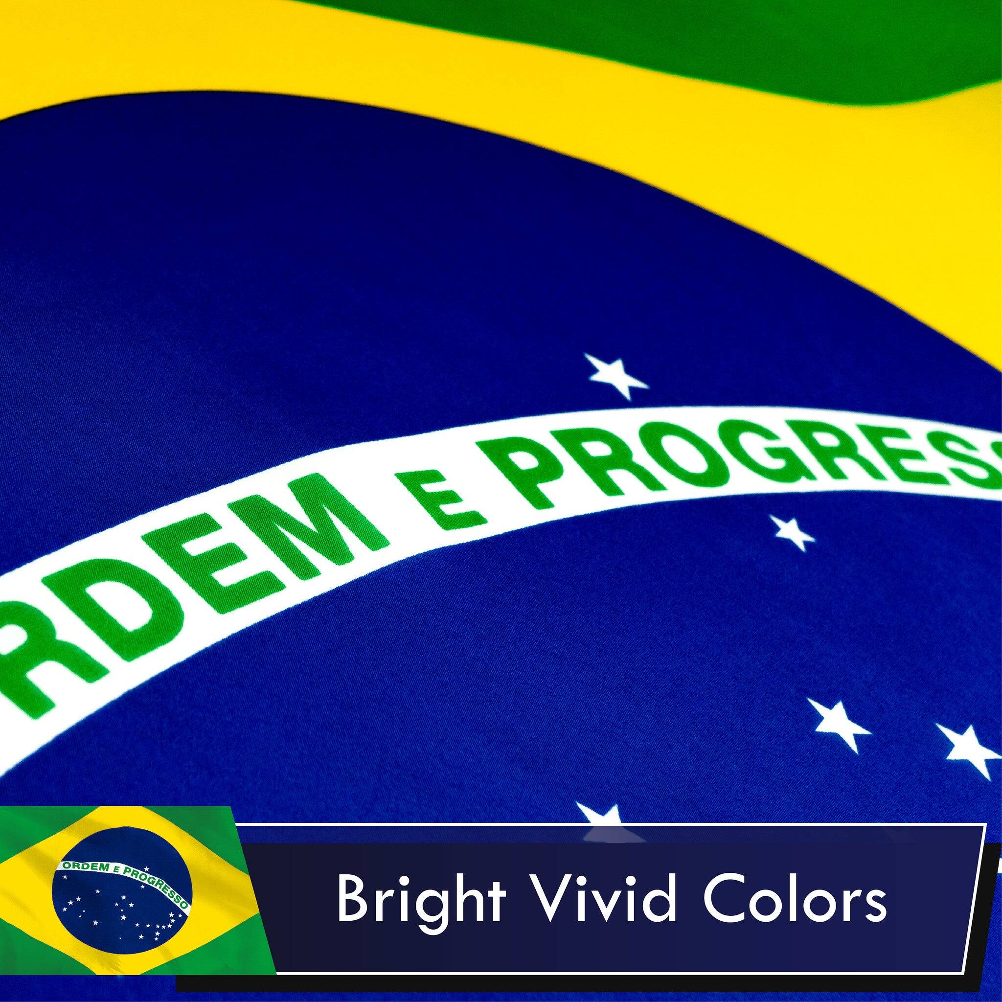 E PROGRESSO

Bright Vivid Colors