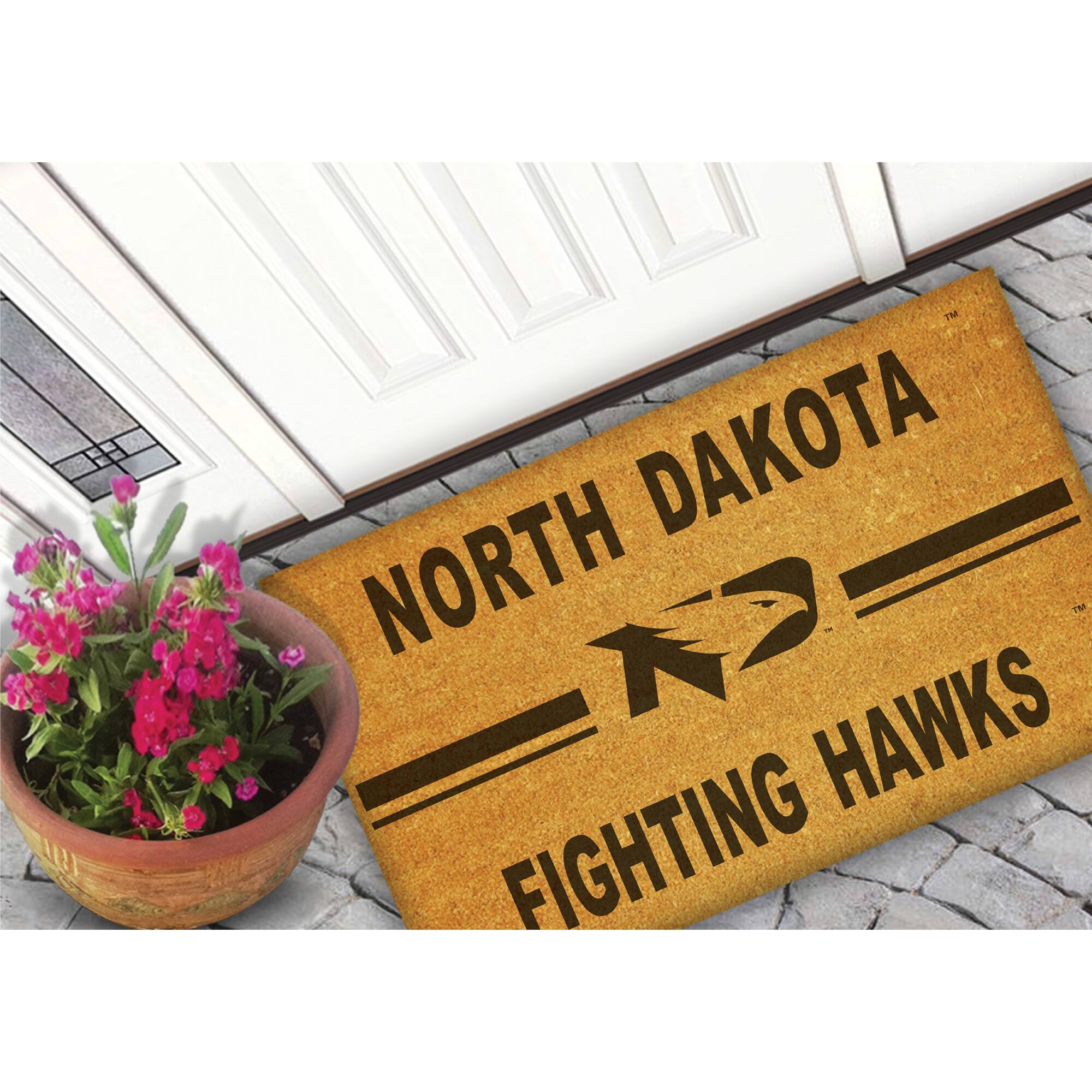 NORTH DAKOTA  
FIGHTING HAWKS