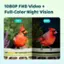 1080P FHD Video + Full-Color Night Vision Day Night Birdfy