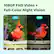 1080P FHD Video + Full-Color Night Vision Day Night Birdfy