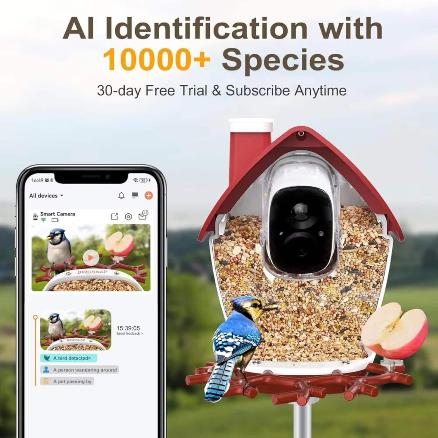 Luckbyte - 2K Video Bird Feeder with AI Bird Identification, Auto Record & 32GB Card for Outdoor Bird Watching - Red