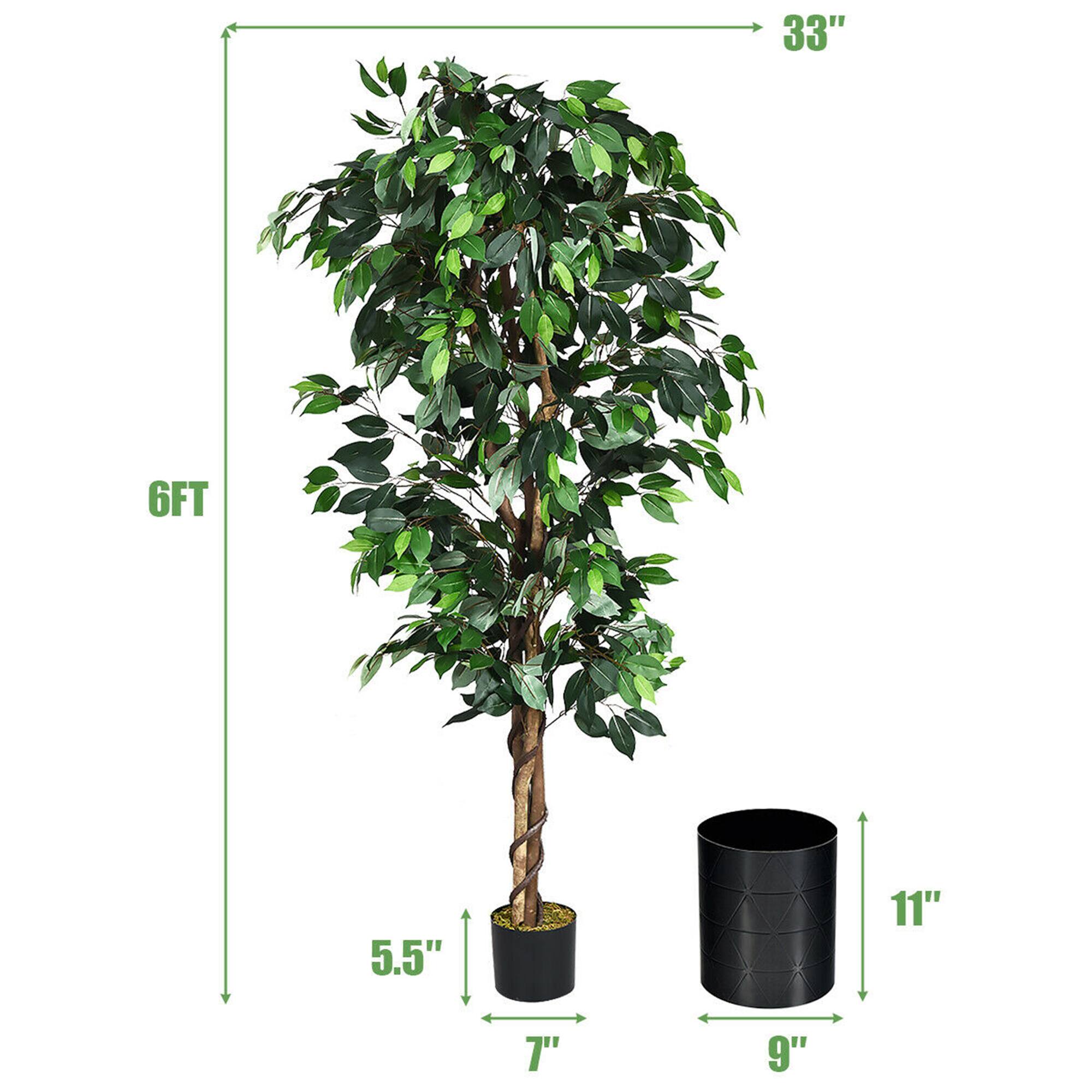 - Height: 6FT
- Width: 33"
- Pot Diameter: 9"
- Pot Height: 11"
- Pot Depth: 5.5"
- Pot Width: 7"