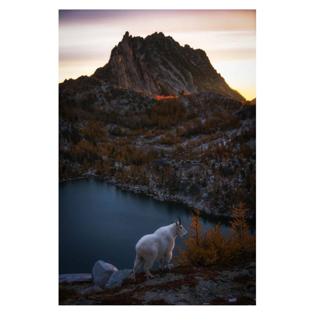 Left. Hoya - Hoya HD3 UV 55mm Low Profile Lens Protector Filter with Stain Resistant Top Coat.