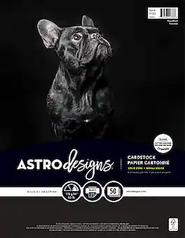 Neenah Paper - Creative Collection 65 lb. Cardstock Paper, 8.5" x 11", 50 Sheets/Ream (91333-01) - Black