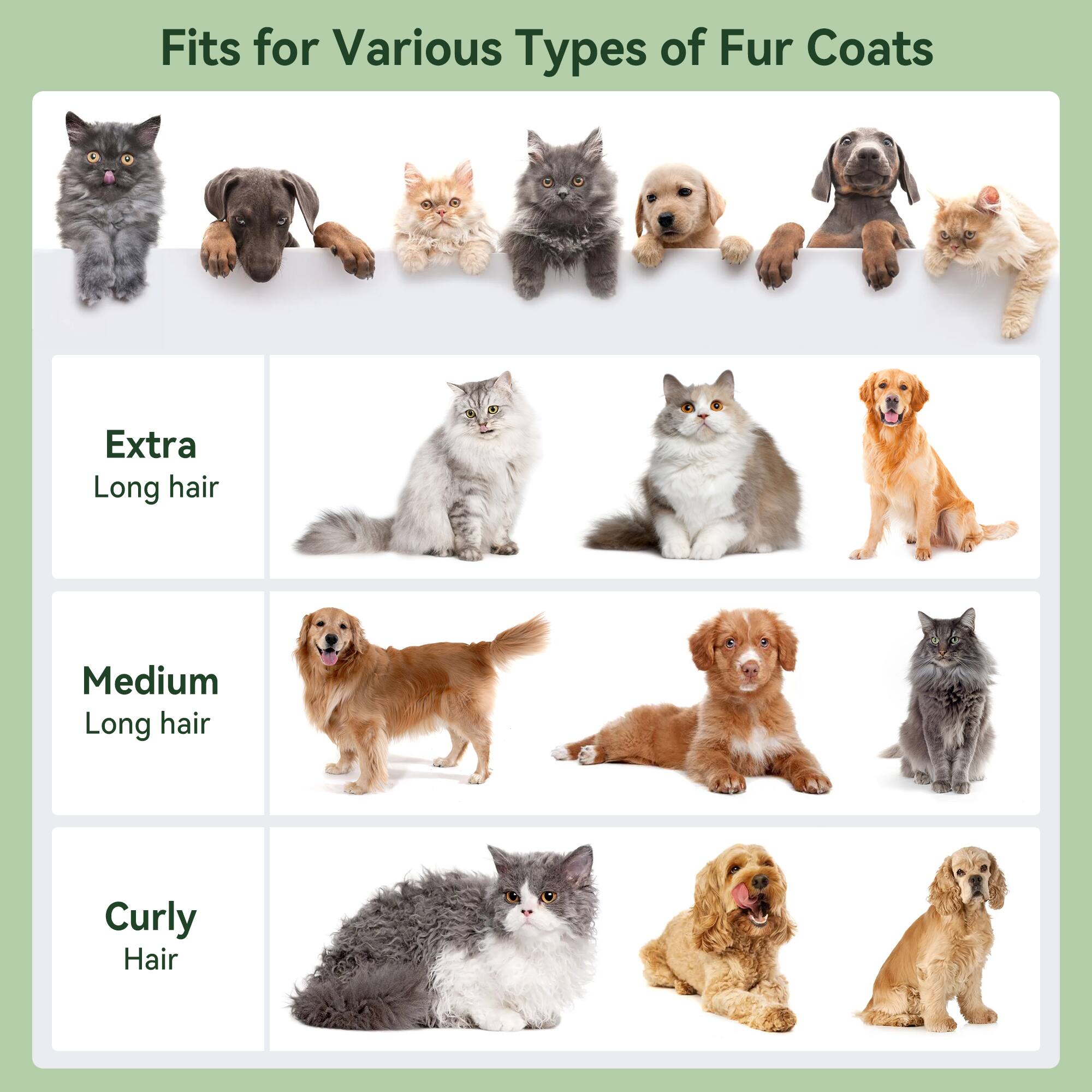 Fits for Various Types of Fur Coats

- Extra Long hair
- Medium Long hair
- Curly Hair