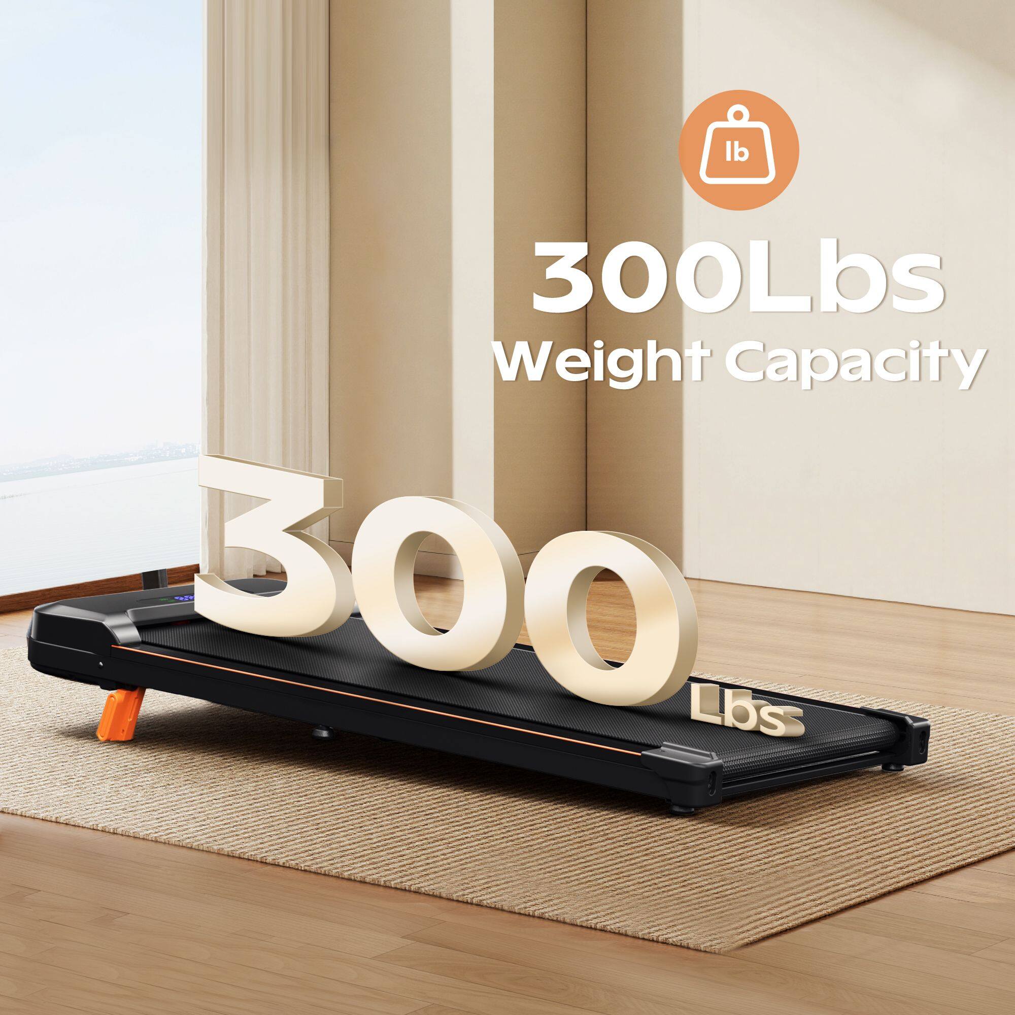 300Lbs  
Weight Capacity