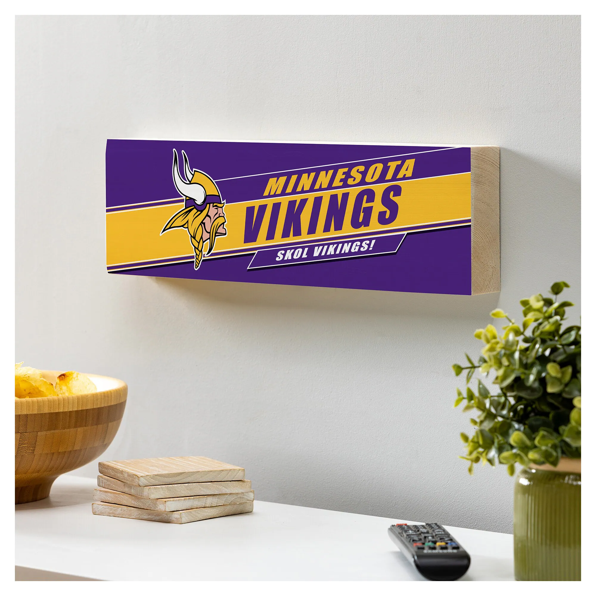 MINNESOTA VIKINGS  
SKOL VIKINGS!