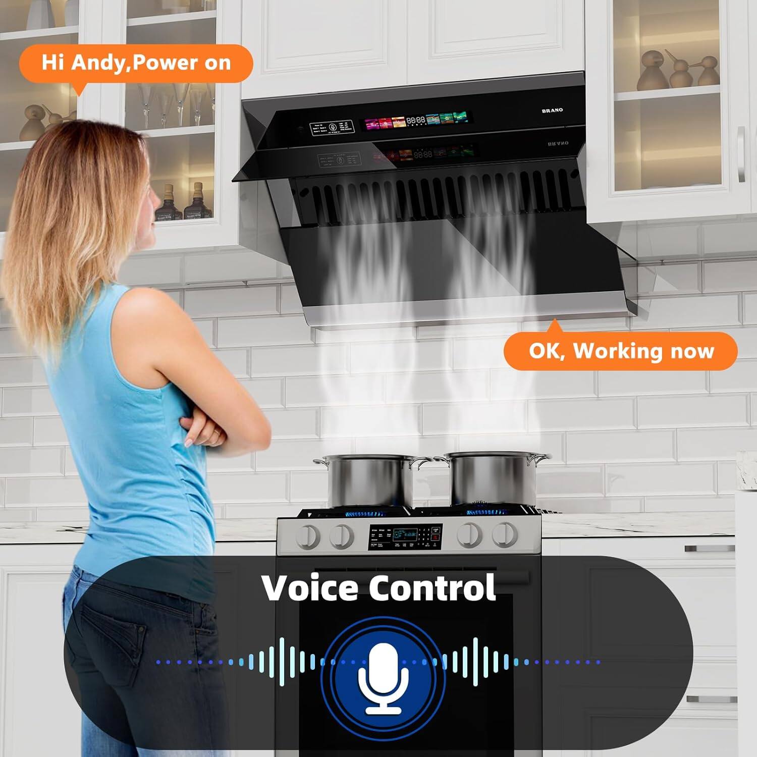 Hi Andy, Power on  
OK, Working now  

Voice Control