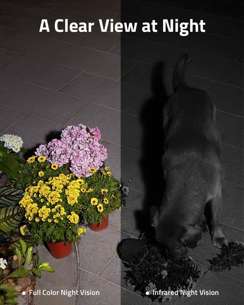 A Clear View at Night

Full Color Night Vision

Infrared Night Vision