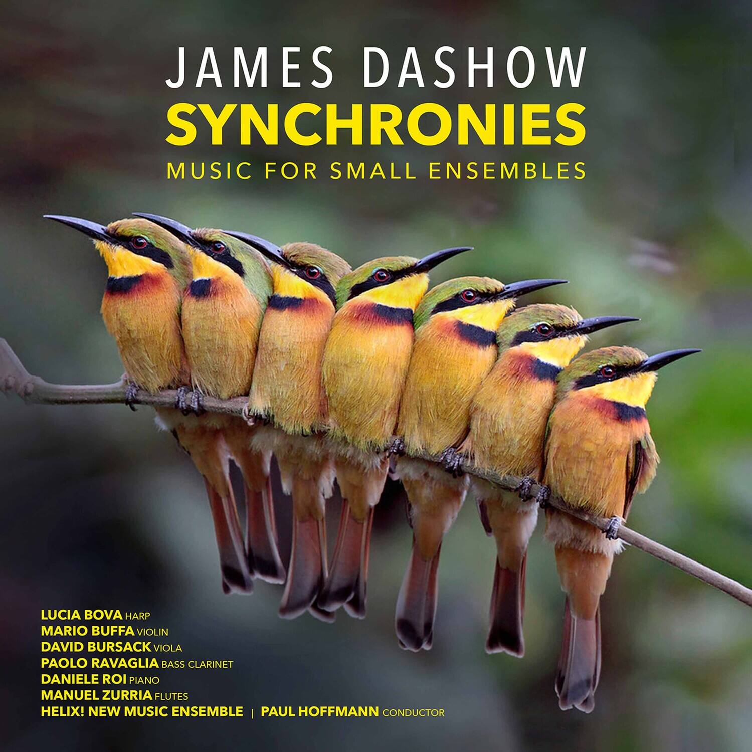 Dashow - Synchronies   - COMPACT DISCS [CD] price history on PriceWatchPro