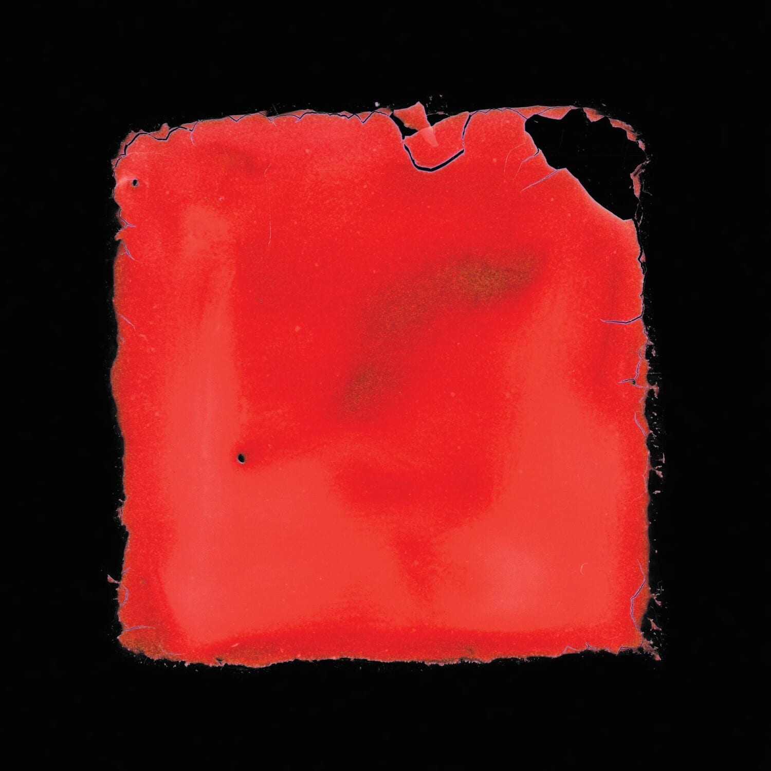 Salvia Palth - Last Chance To See  - VINYL LP