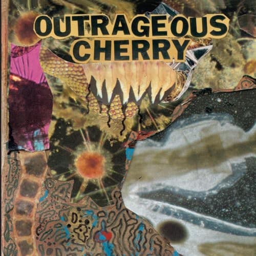 Outrageous Cherry - Universal Malcontents   - COMPACT DISCS [CD] price history on PriceWatchPro