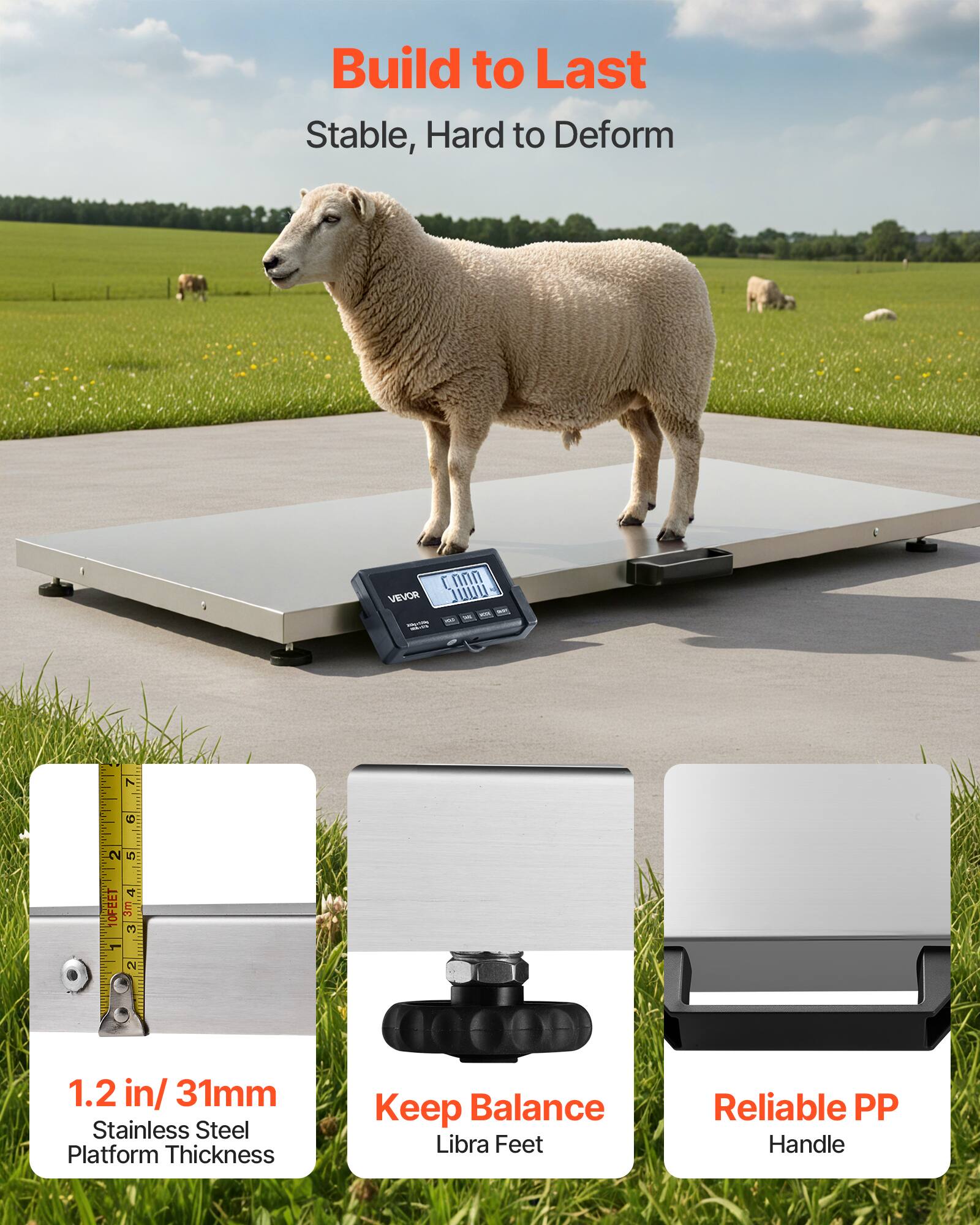 Build to Last  
Stable, Hard to Deform  

1.2 in/ 31mm Stainless Steel Platform Thickness  
Keep Balance Libra Feet  
Reliable PP Handle