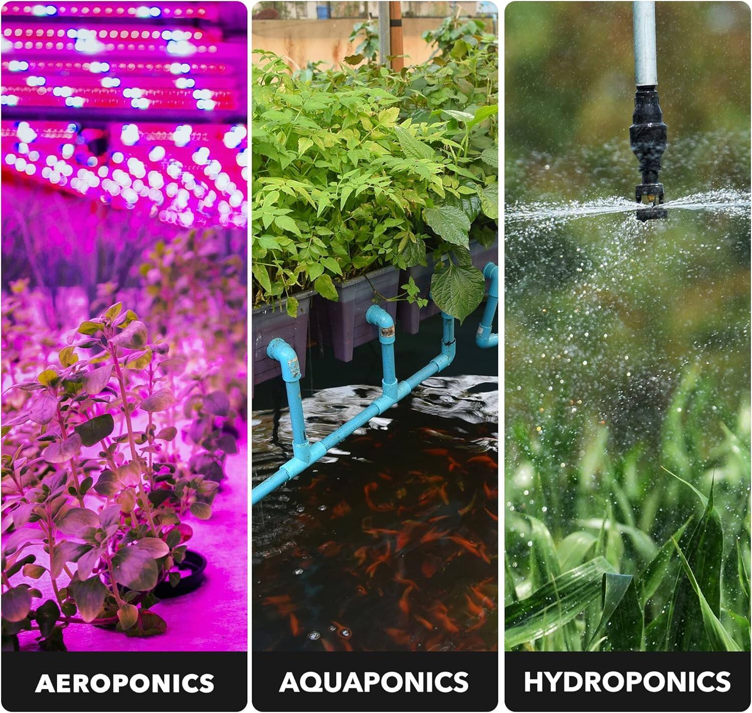 AEROPONICS  
AQUAPONICS  
HYDROPONICS