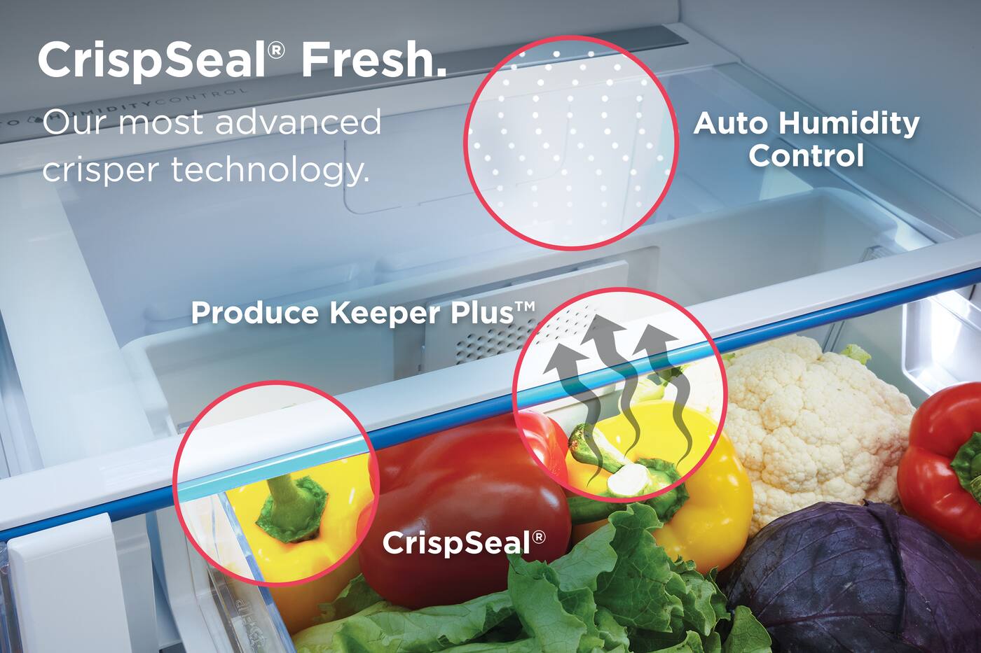 CrispSeal® Fresh.  
Our most advanced crisper technology.  
Auto Humidity Control  
Produce Keeper Plus™  
CrispSeal®