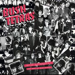 Bush Tetras - Rhythm & Paranoia: The Best of Bush Tetras - VINYL LP