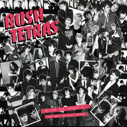 BUSH TETRAS
RHYTHM AND PARANOIA: THE BEST OF BUSH TETRAS