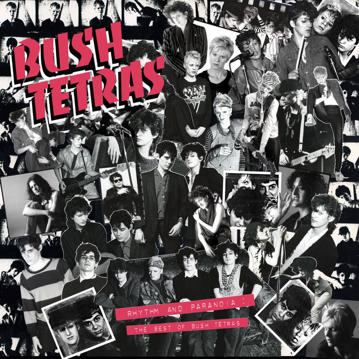 BUSH TETRAS

RHYTHM AND PARANOIA: THE BEST OF BUSH TETRAS