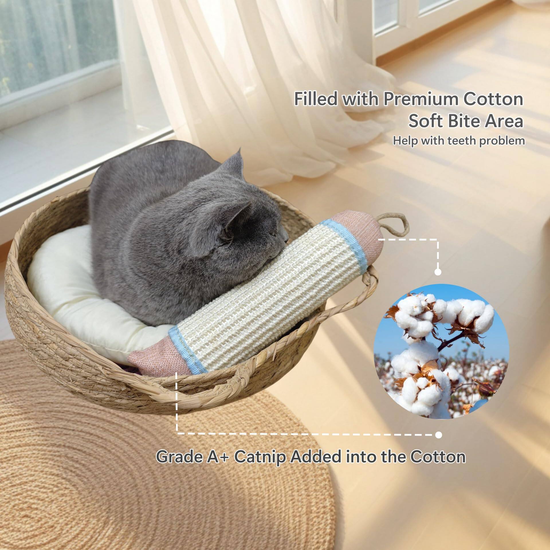 Filled with Premium Cotton  
Soft Bite Area  
Help with teeth problem  

Grade A+ Catnip Added into the Cotton