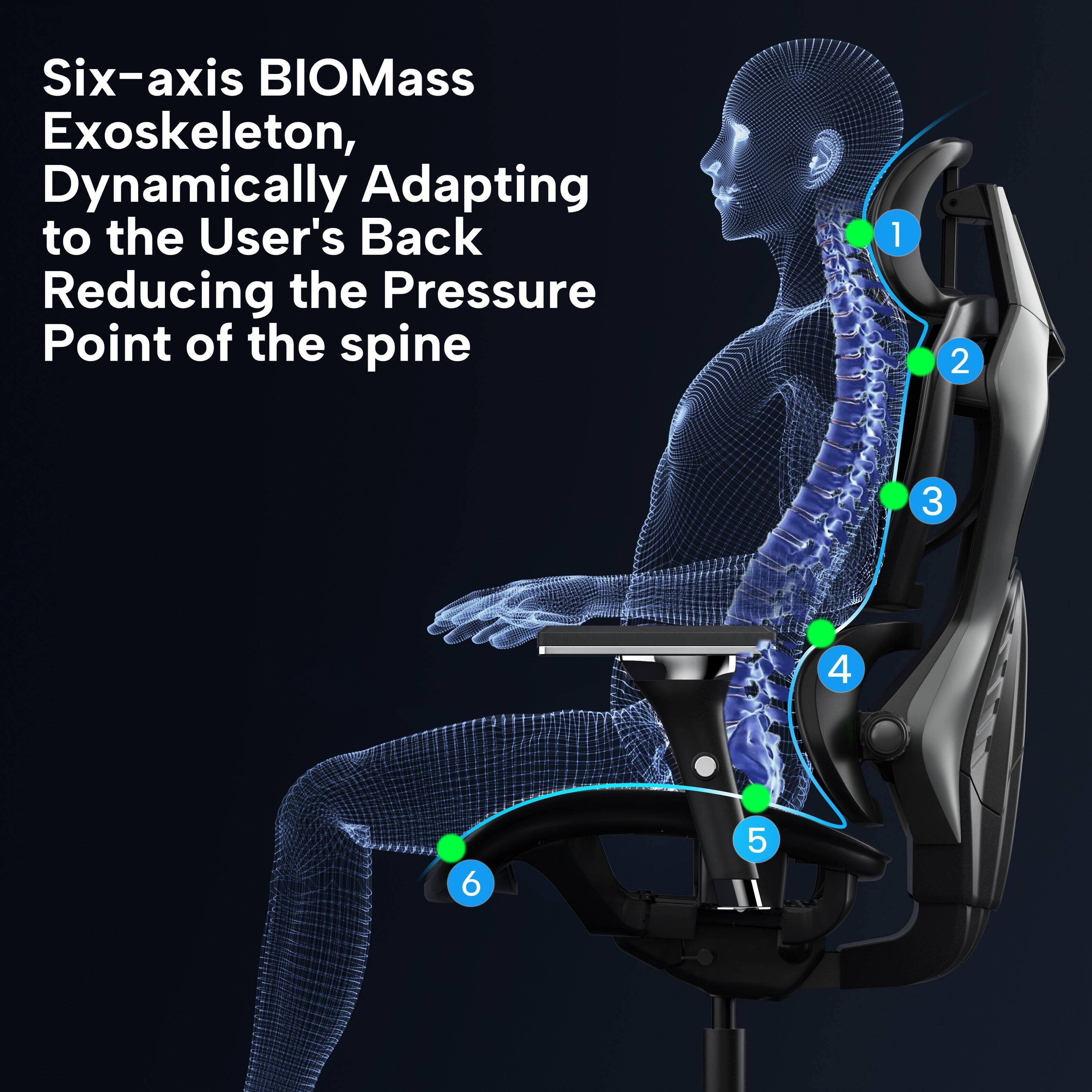 Six-axis BIOMass Exoskeleton, Dynamically Adapting to the User's Back Reducing the Pressure Point of the spine 1 2 3 4 5 6