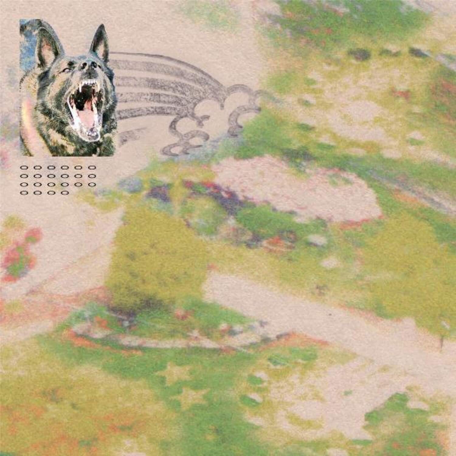 Feeble Little Horse - Girl With Fish  - COMPACT DISCS