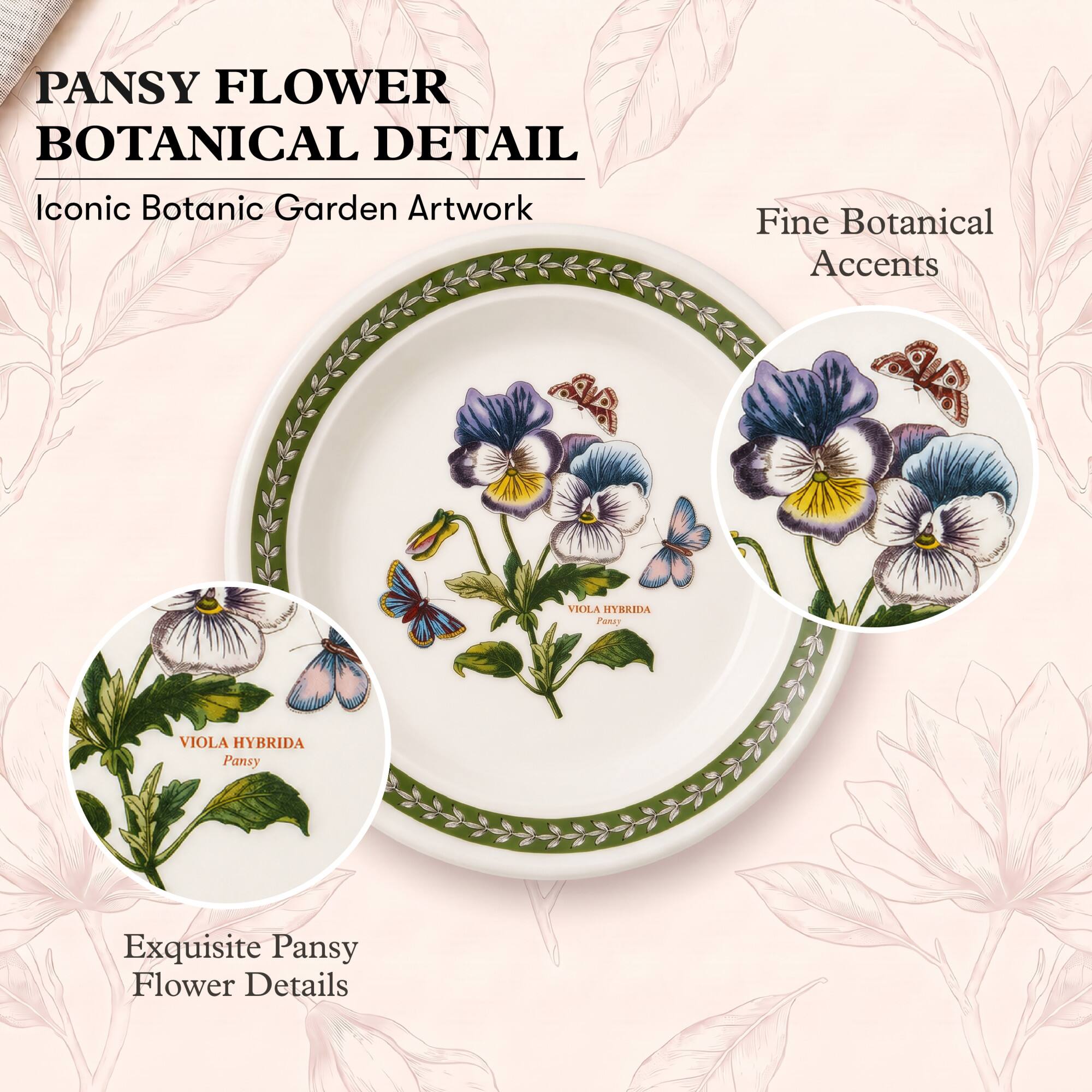 PANSY FLOWER BOTANICAL DETAIL  
Iconic Botanic Garden Artwork  
Fine Botanical Accents  
VIOLA HYBRIDA Pansy  
Exquisite Pansy Flower Details