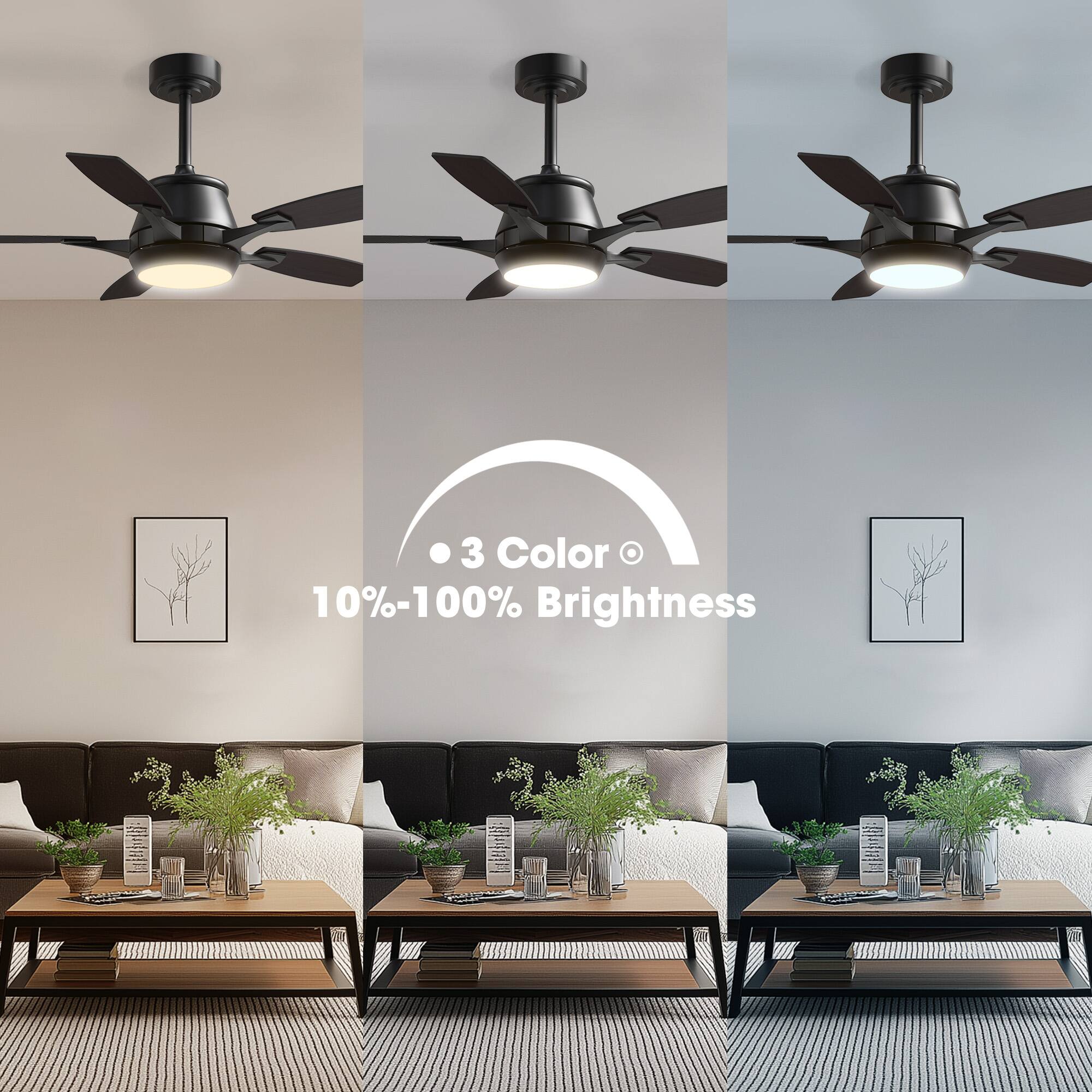 3 Color  
10%-100% Brightness