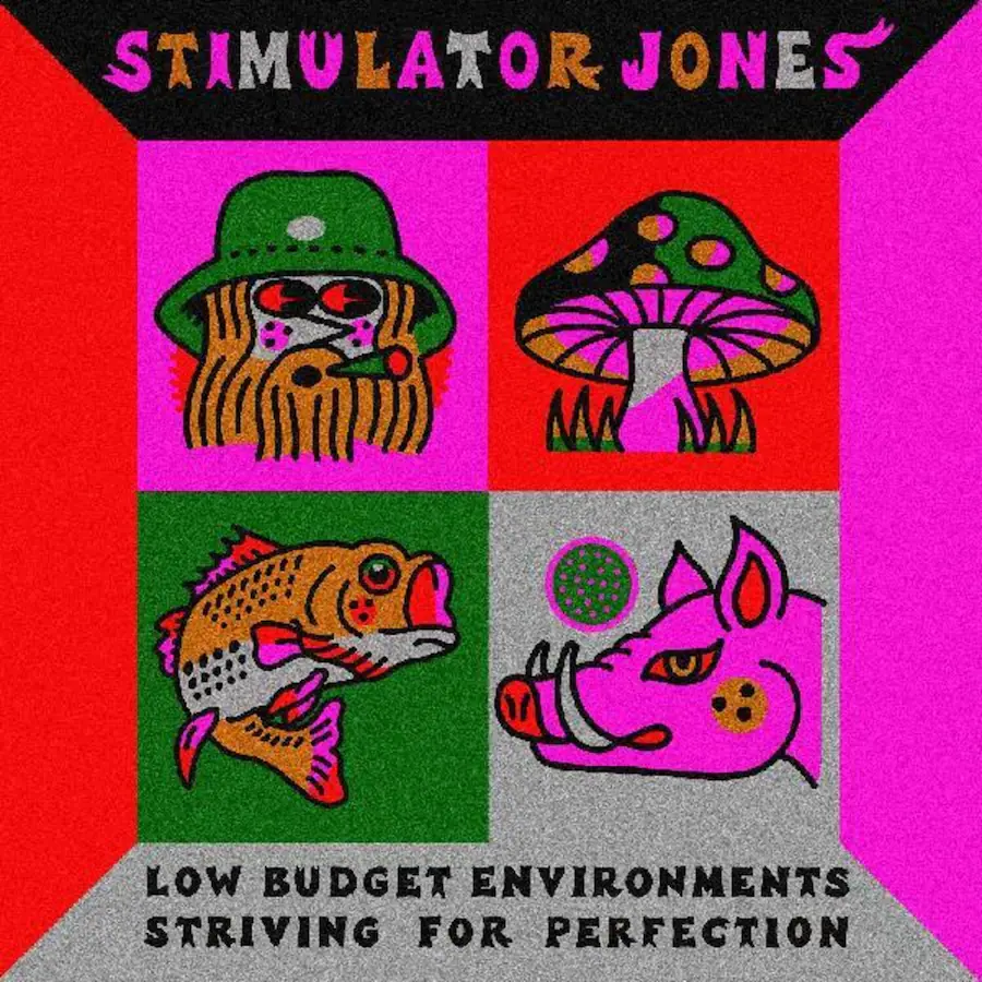 Environments Stimulator Jones Low Budget Environments Striving For Perfection VINYL ...