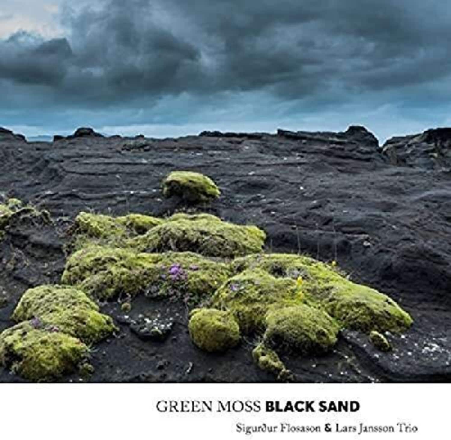 Flosason - Green Moss Black Sand  - COMPACT DISCS