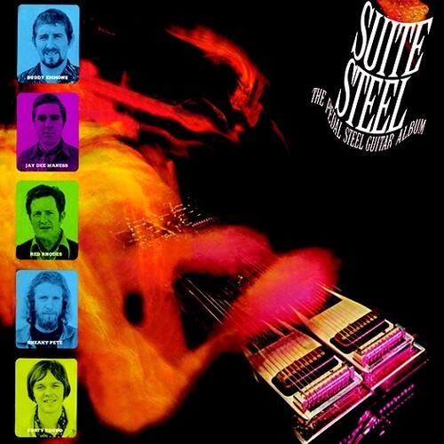 Sure, here is the corrected and grouped text:

**Suite Steel**  
The Final Steel Guitar Album

**Band Members:**
- Andy Doherty
- Ray Hargrave
- Rob Doherty
- Ian Gentile
- Pete Furtado

**Track List:**
- BD0T
- EHOOS
- JAY
- DCE
- MAKESS
- SUNTS
- THE
- SIFEL
- PEIDAL
- STEEL
- ALBUN
- GUITAR
- RD
- JNOCES
- ENTAKY
- PETE
- FURTY
- TOUPO