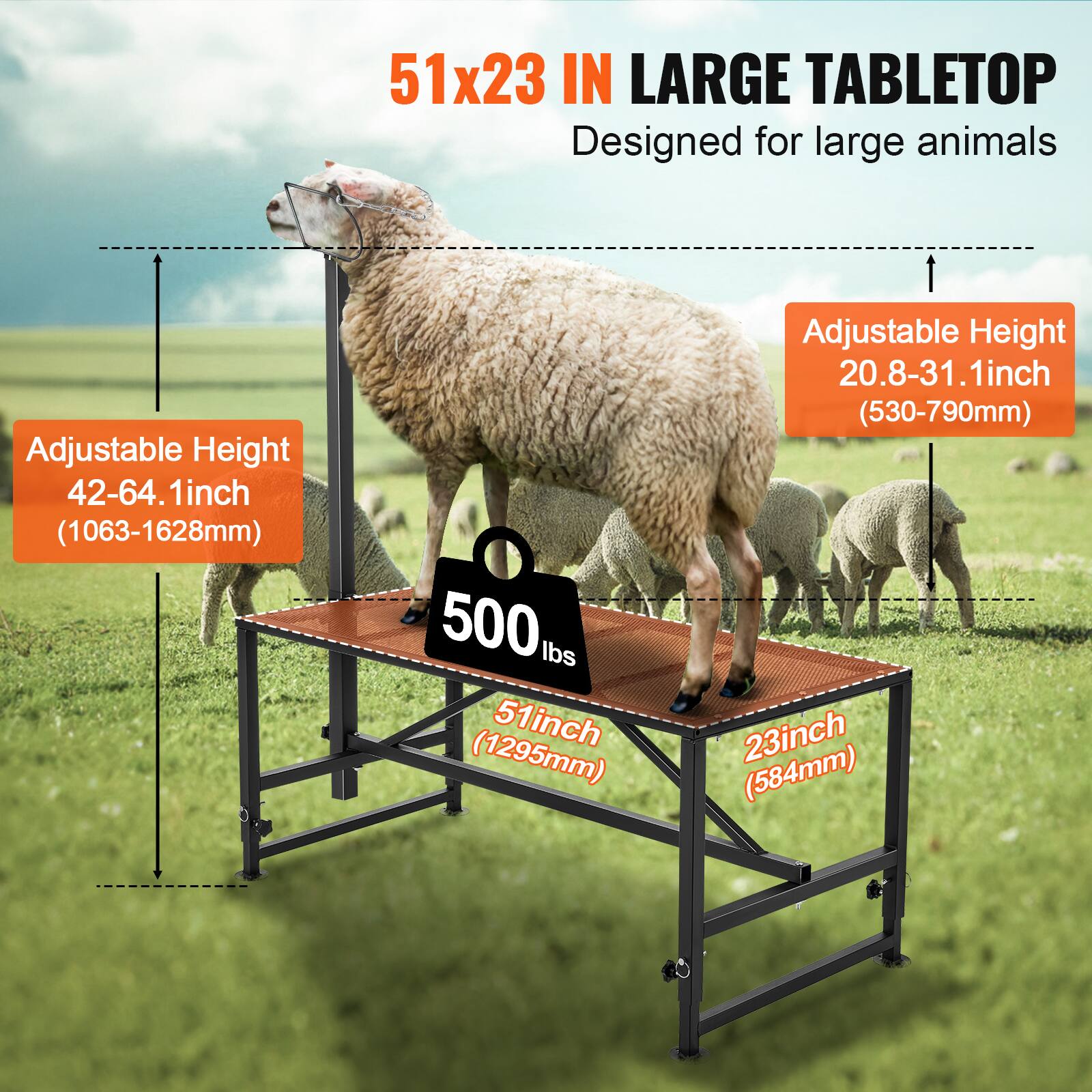 51x23 IN LARGE TABLETOP  
Designed for large animals  

Adjustable Height: 42-64.1 inch (1063-1628mm)  
Adjustable Height: 20.8-31.1 inch (530-790mm)  
Weight Capacity: 500 lbs  
Tabletop Dimensions: 51 inch (1295mm) x 23 inch (584mm)