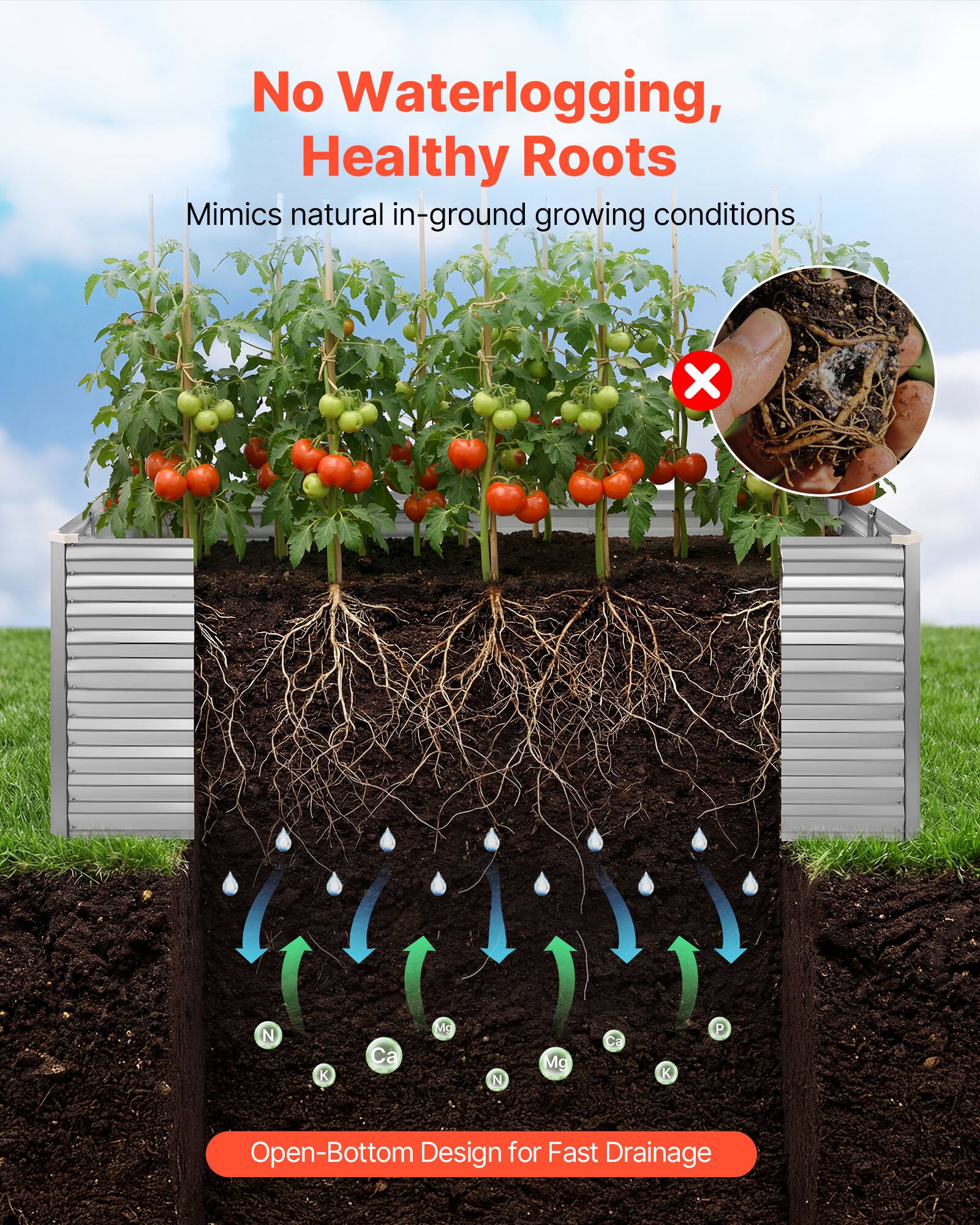 No Waterlogging, Healthy Roots  
Mimics natural in-ground growing conditions  

Open-Bottom Design for Fast Drainage