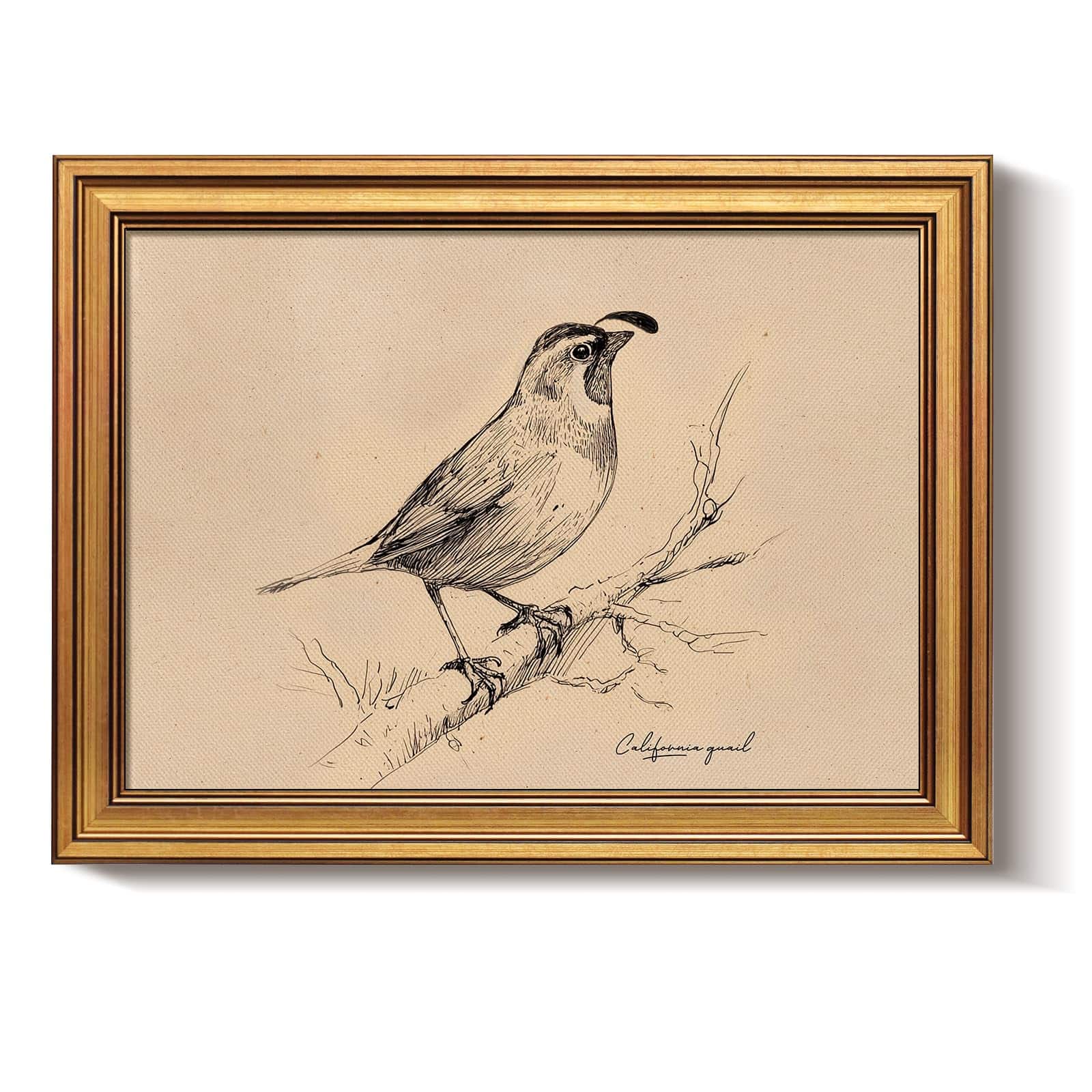 Hirose Alice - Bzstyleart Vintage Wall Art Decor for Living Room Gold Framed Prints Flowers Wall Art Home Decor Aesthetic - California State Bird