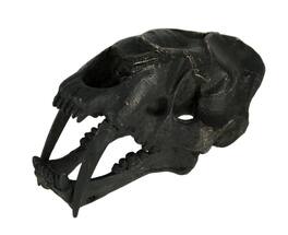 Zeckos - Saber Toothed Cat Skull Statue Smilodon - Black