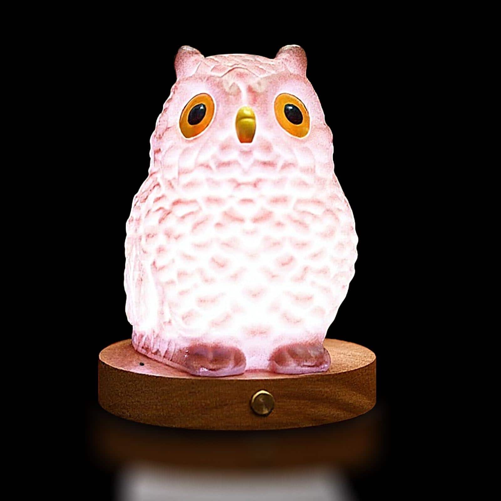 Dazzling Pops - Owl Table Lamp Dimmable Owl LED Night Light Rechargeable Outdoor Cordless Night Light Remote Control - Default